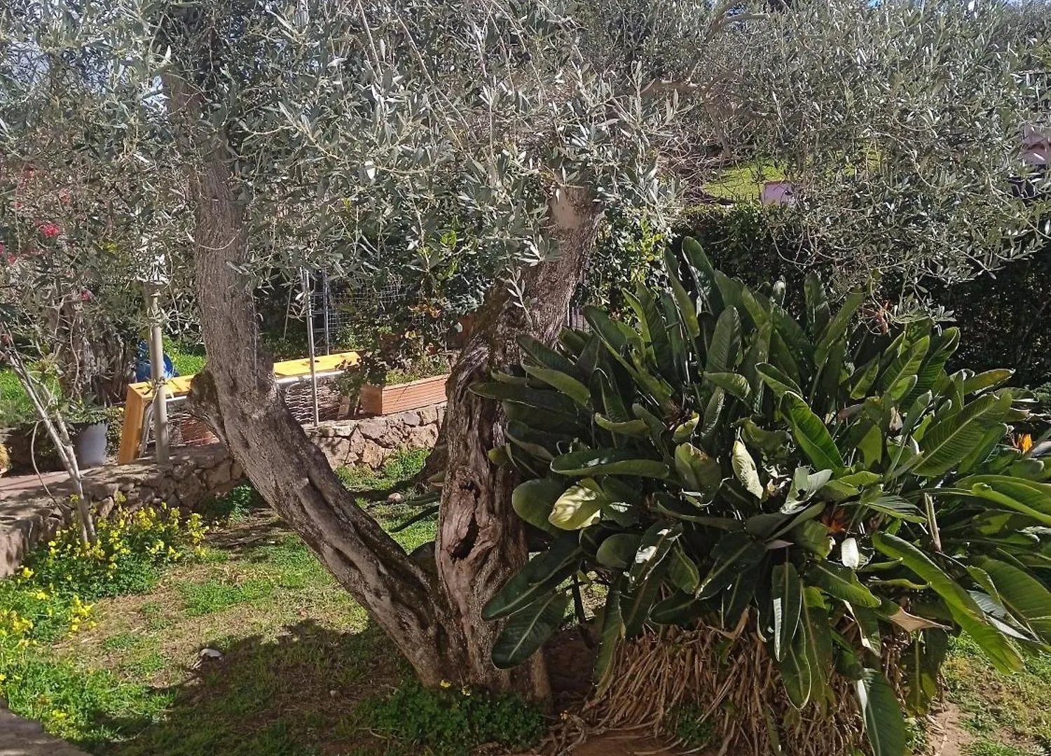 Marmaga Villa Alghero Holiday home